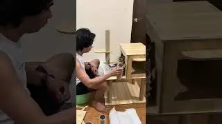 Building a Cozy Cat Tree/Tower #cat #catshorts #shorts