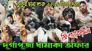Biggest Dog Kennel in West Bengal । Import Quality Kci Registered । Dog Market in Kolkata