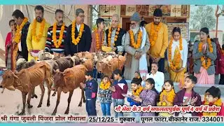 श्री गंगा जुबली पिंजरा प्रोल 25/12/25  गौशाला में आज का आनंद 