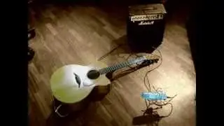 Little Wing (Acoustic Cover by Alessandro Epifano)