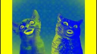 (Reuploud) Preview 2 Numa Cat 3 Weird (My Versión) Effects