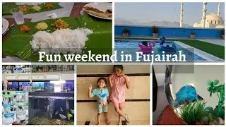 Weekend Vlog - Pool day at a Hotel | South Indian meal on banana leaf  *Sadya* | Getting a New Pet 🐠