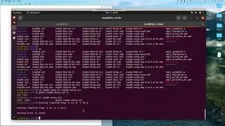 ns | 06b | TCP and UDP over noisy link