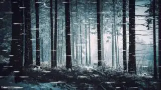 Wyrd - Sad song of the woods