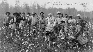 Slavery Made the South Poor, Not Rich