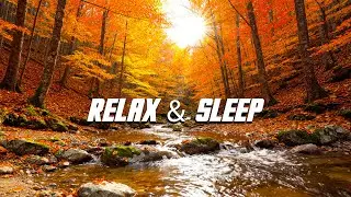 Calming River Stream 🍂 Peaceful Nature Sounds for Deep Relaxation
