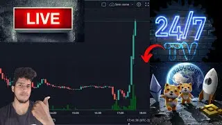 BABY DOGE 24/7 LIVE AO VIVO GRAFICO + PRE&Ccedil;O ? CADE A BINANCE?1 MILHAO NO TWITTER #babydoge#binance