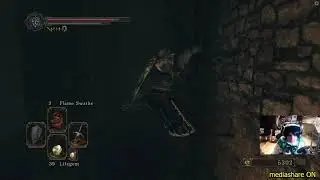 Dark Souls II (Seeker of Fire Mod) #2