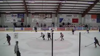 U12 Hockey  Minn  Orange v  Delano 1 15 18 020