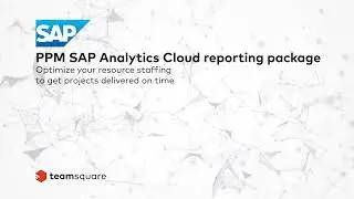 PPM SAP Analytics Cloud reporting package &bull; Optimize your resource staffing