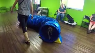 Agility Fun!