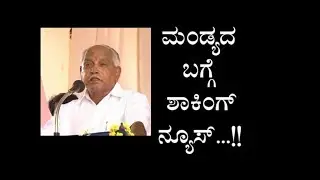 || YADURAPPA SPEKAS ABOUT MANDYA ELECTION ||