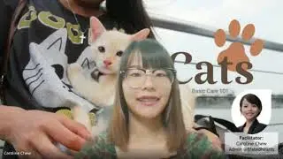 Cat Basic Care 101 - Self help