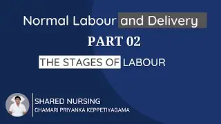 Normal Labour and Delivery (part 02) Stages of Labour