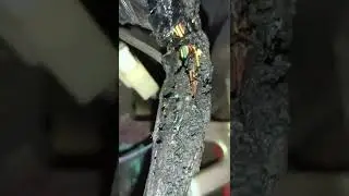 Mahindra Bolero dashboard wiring short circuit