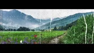 Rain looping video no copyright