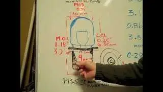 XPR19 Flashlight Bulb
