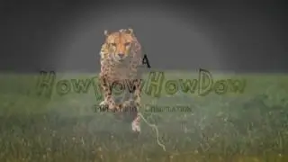 Awesome animals video 750p