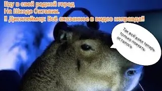 Поездка в свой родной город Казань на Шкоде Октавии. !!Дисклеймер: Всё сказанное в видео не правда!!