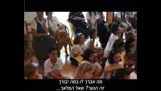 תבנית החינוך המוזהב - מעלה צביה