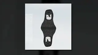 Mounika. - What Kind of Bird