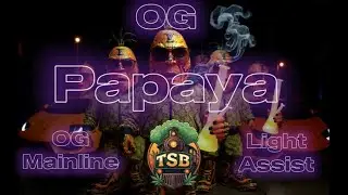 OG Papaya ~ Light Assist ~ Is it really that good from THCA Small Buds 🤔 #freetheplant #420community