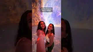 Top 10 Experiences I Recommend in Macau for the Best Time! ✨