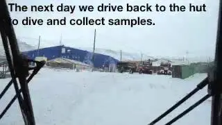 Digging and Diving