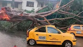 Emergency! Fallen trees and flooding! Storm in Medellin! Colombia
