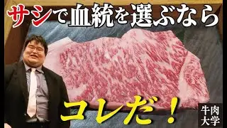 2023年最新！「サシの評価が高い血統」をご紹介！福之姫の子ども達が続々登場