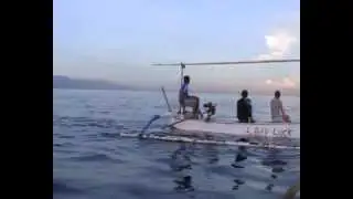 Dolphin Tour, Bali - Indonesia