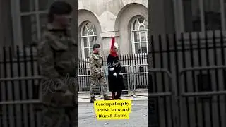 Blues and Royals & British Army Officers Prepare Cenotaph &ndash; London, UK