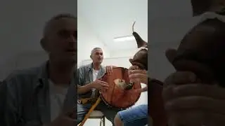 يا صالح يا صالح مع عم محمد صالح العيساوي