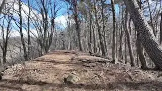 【富士山麓】紅葉台展望台から富士山を望む｜東海自然歩道を散策