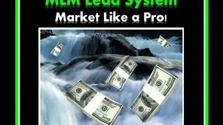 MLM Lead system