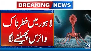 Lahore on Alert as Monkeypox Cases Climb - 24 News HD