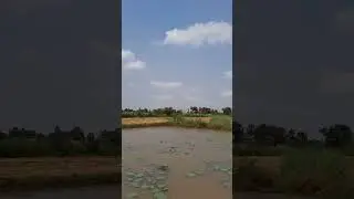 CAMBODIA (4K UHD) - Relaxing music with beautiful nature videos - 4K Ultra HD video #shorts