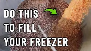 Fall Prep on the Homestead  |  Planting Seeds  |  Cutting Down Trees