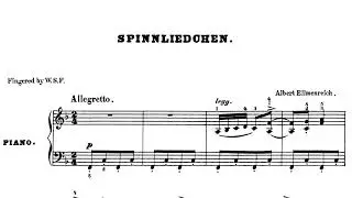 Spinning Song Op.14 no.4 - Ellmenreich/Nathan Gnewikow