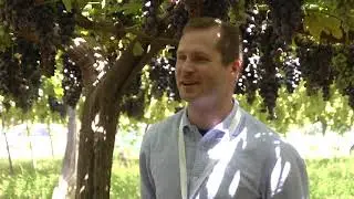 Peter Janech - Department officer Regional Department for Europe UNWTO.