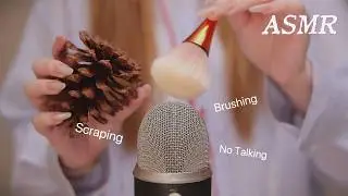 ASMR Tapping & Brushing for Sleep 💤 Mic Scraping + Pine Cone Sounds