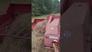 h&ouml;pressning med welger ap9 och mf 35 #jordbruk #masseyferguson #mf #lantbruk
