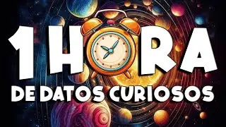 &iexcl; 1 HORA sin pausas de DATOS CURIOSOS y COSAS QUE NO SAB&Iacute;AS ! ⏰😲731 #curioman&iacute;atv