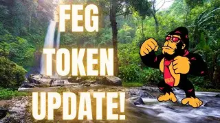 FEG Update