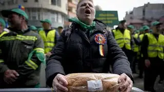 Frustration and Fury: Eastern European grain farmers express outrage over Ukrainian imports