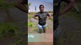 Young Tanzanian Farmer Taking The Internet by Storm #viral #farming #swahili #tanzania