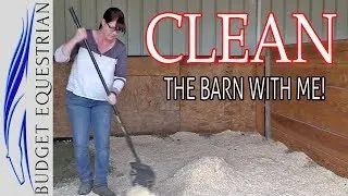 Cleaning Motivation | Clean With Me | Cleaning The Barn