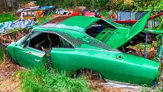 They Opened This Barn in 2025&hellip; What Was Inside? Muscle Car HEAVEN!