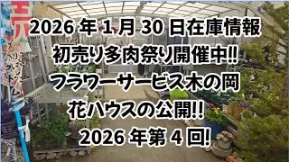 2026年1月30日　フラワーサービス木の岡入荷・在庫情報！