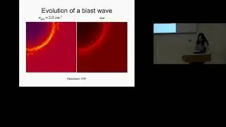 Interstellar Dust in Evolving 3D Supernova Shock Waves - Lars Mattson